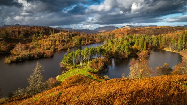 John Henderson | Tarn Hows autumn pan