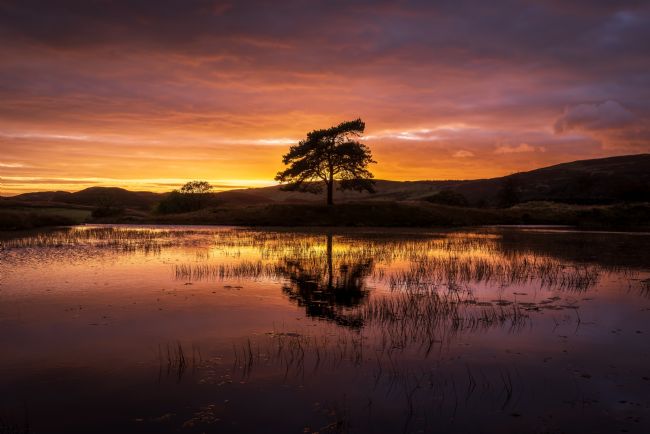 John Henderson | Kelly Hall Tarn