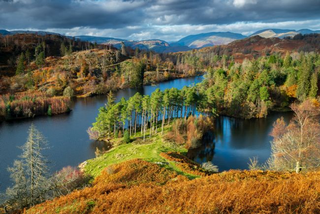 John Henderson | Tarn Hows autumn