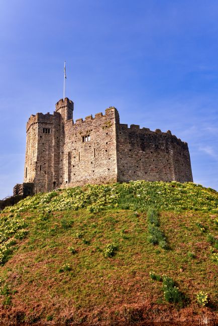 Gordon Maclaren | Cardiff Castle with Spring Daffodils