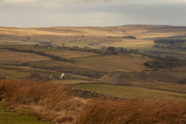Stephen Prosser | Across the moors and down dale