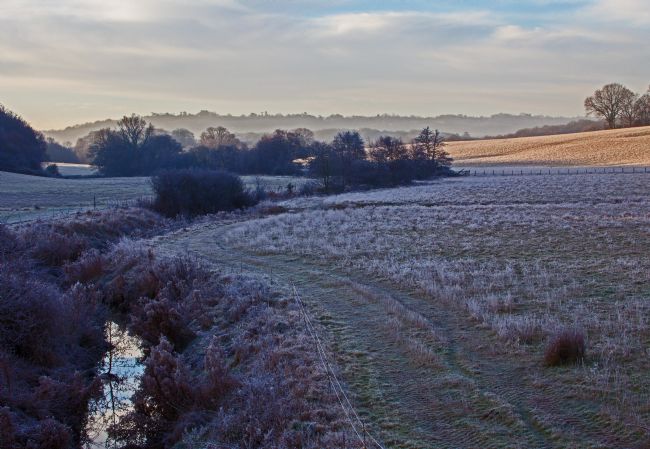 Stephen Prosser | A frosty morning in East Sussex