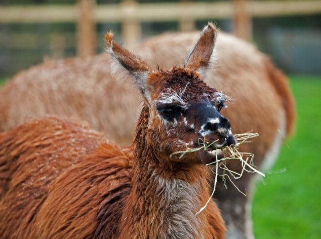Stephen Prosser | Time for dinner