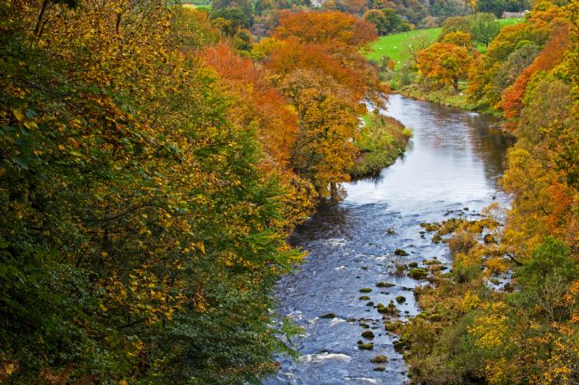 Stephen Prosser | The river of dreams
