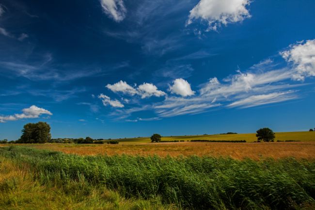 Stephen Prosser | Memories of summer
