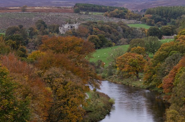 Stephen Prosser | Autumn trees over the river Wharfe