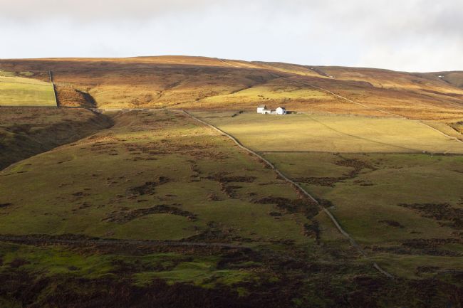 Stephen Prosser | High on the hill