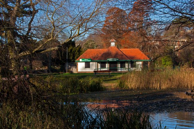 Stephen Prosser | Through the trees