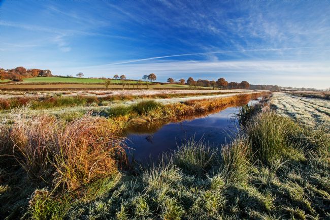 Stephen Prosser | Frozen marshes