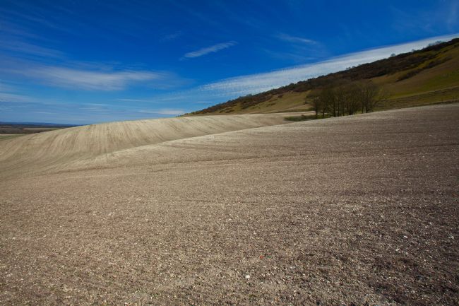 Stephen Prosser | Gentle fields