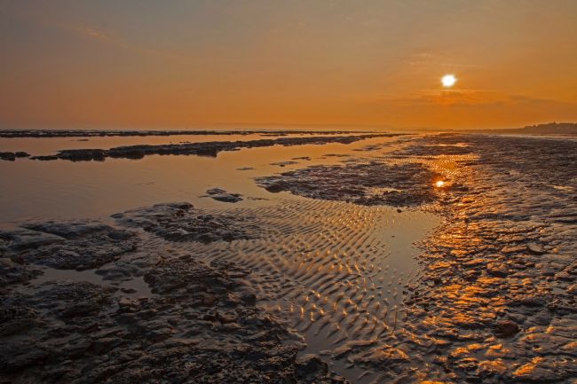 Stephen Prosser | Spangles of gold