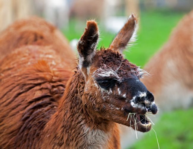 Stephen Prosser | Totally adorable