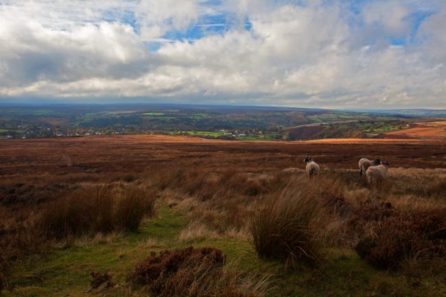 Stephen Prosser | After the rain