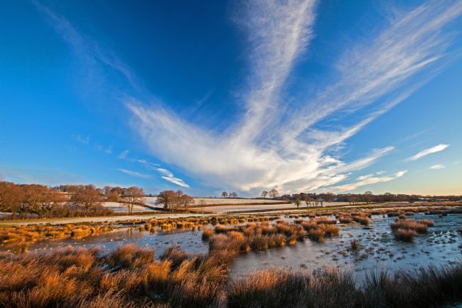 Stephen Prosser | Winter on the marshes