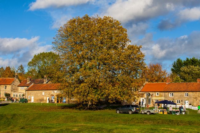 Stephen Prosser | The village green at Hutton le Hole