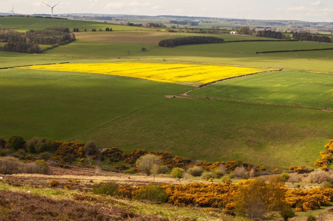 Stephen Prosser | Across the fell