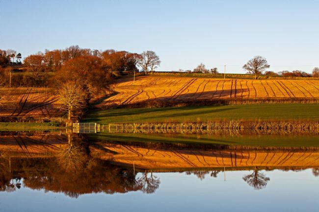 Stephen Prosser | Stunning reflections