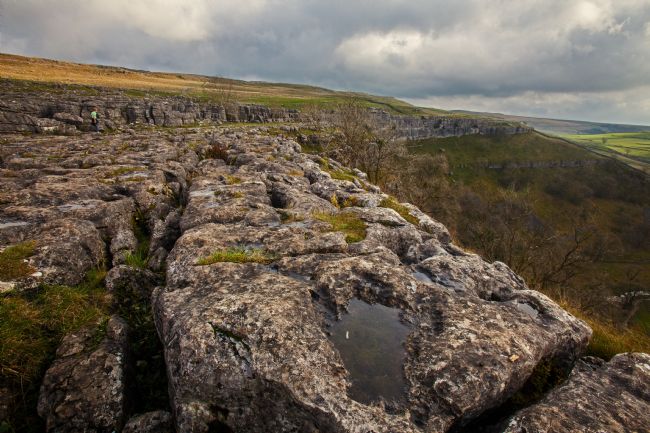Stephen Prosser | Limestone pavement