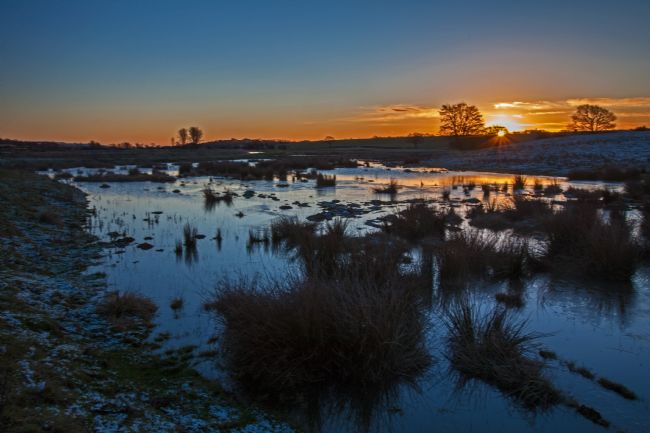 Stephen Prosser | Winter over the marshes