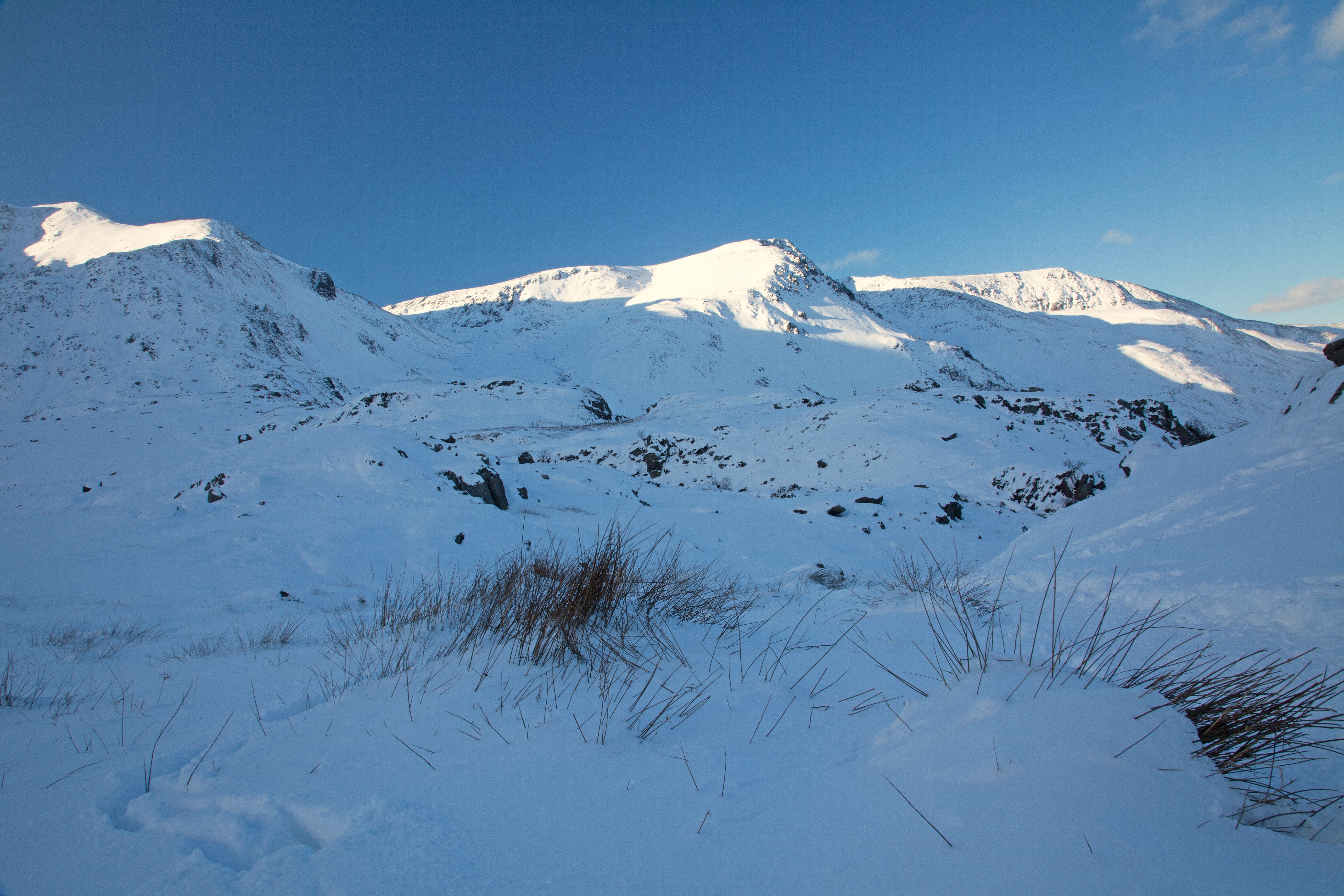 Stephen Prosser | A  winter wonderland