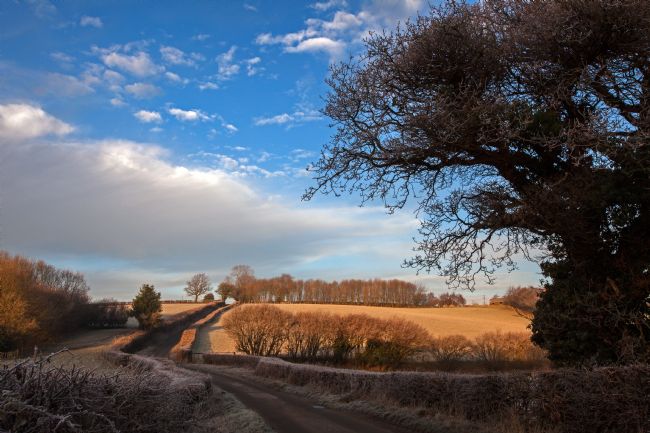 Stephen Prosser | The road to Somewhere