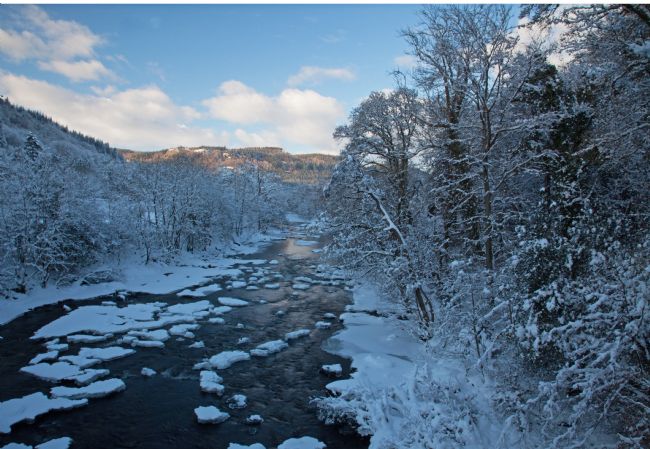 Stephen Prosser | Winter on the river
