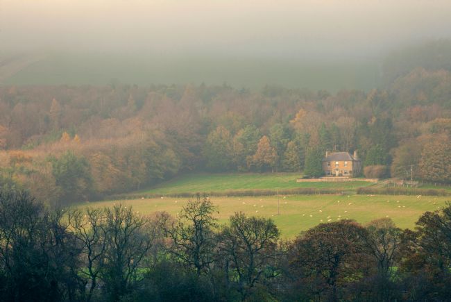 Stephen Prosser | A misty morning