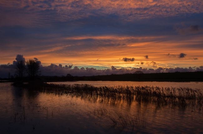 Stephen Prosser | Beautiful sunrise over flooded fields