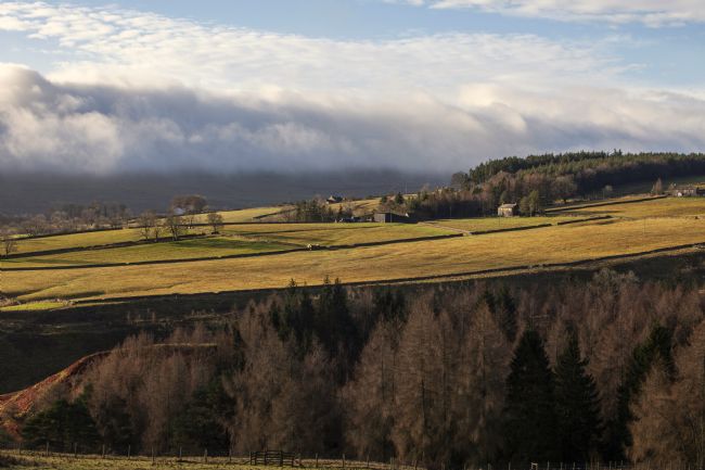 Stephen Prosser | Land of contrasts