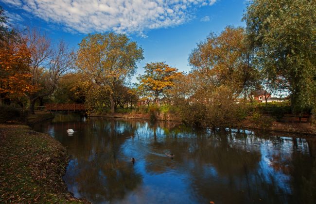 Stephen Prosser | A fine autumn day in the park