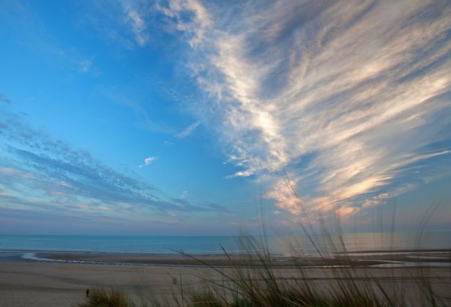 Stephen Prosser | Reaching for the heavens