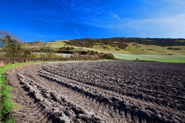 Stephen Prosser | Ridges and furrows