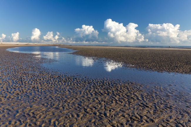 Stephen Prosser | Ripples in the sand