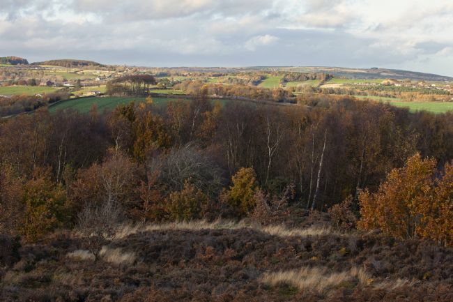 Stephen Prosser | Autumn on the fell