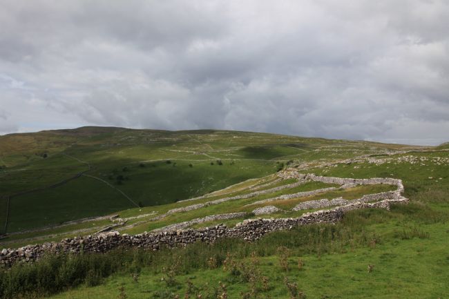 Stephen Prosser | A tapestry of dry stone walls