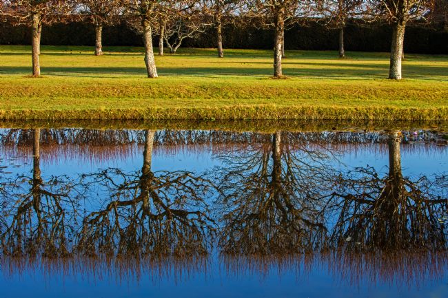 Stephen Prosser | Tranquil reflections