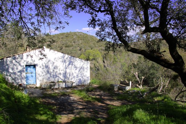 Elvia Worrall | Peaceful Abandon