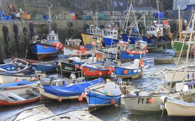 Elvia Worrall | Mevagissey Harbour, Cornwall, UK