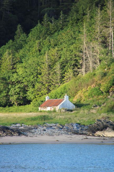 Elvia Worrall | Camusfearna