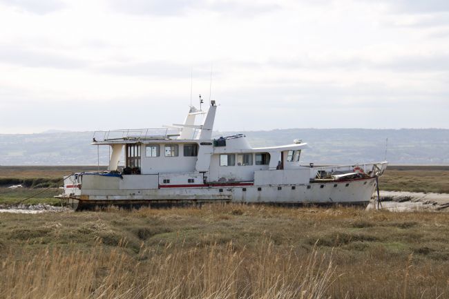 Elvia Worrall | Sarinda High and Dry