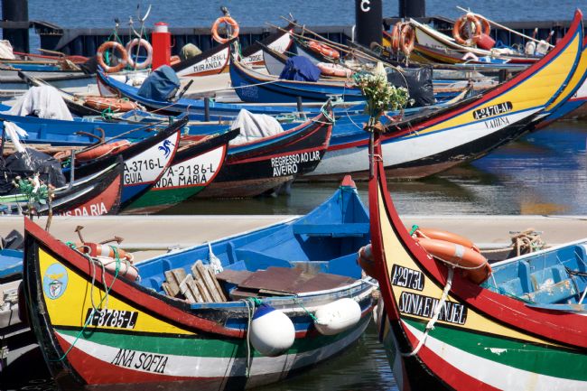 Elvia Worrall | Portuguese Fishing Boats in Torreira, Aveiro