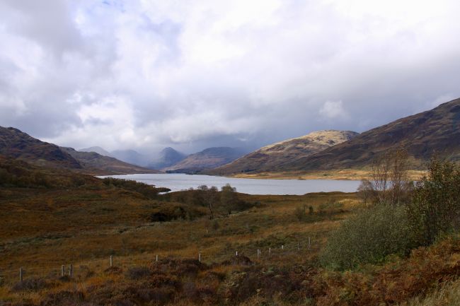 Elvia Worrall | Trossochs Thunder Clouds