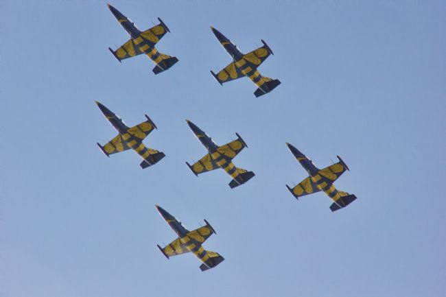 Elvia Worrall | Baltic Bees Swedish Air Display Team
