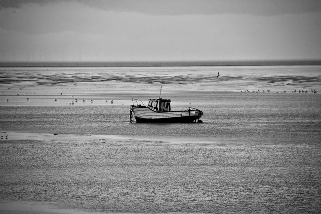 Elvia Worrall | Stranded 