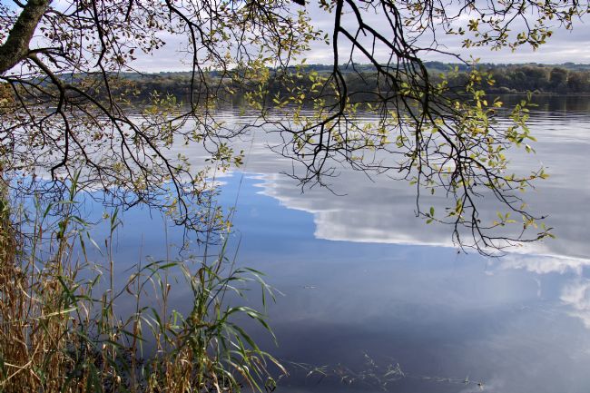 Elvia Worrall | Blue Sky Reflection