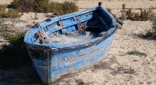 Elvia Worrall | Stranded and Deserted