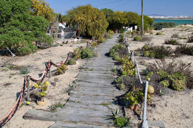 Elvia Worrall | Rustic Beach Walkway