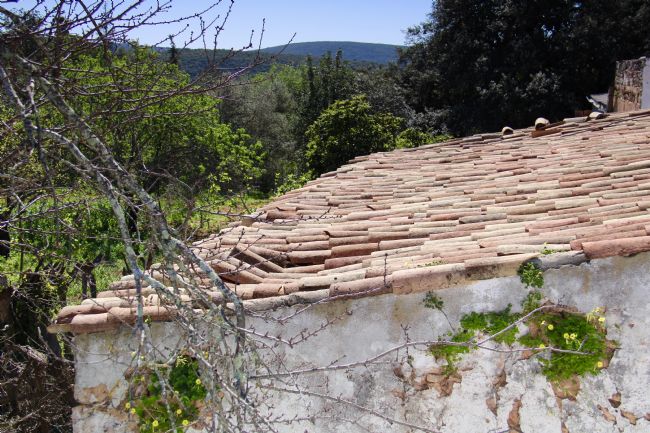 Elvia Worrall | Terracotta Ruin Roof