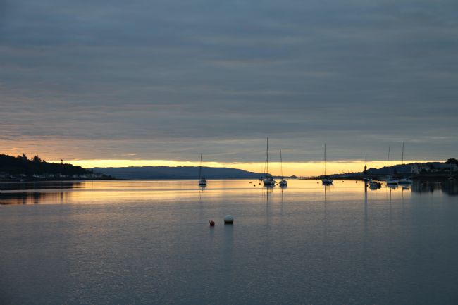 Elvia Worrall | Morning Light