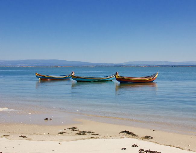 Elvia Worrall | Portuguese Aveiro Traditional Fishing Boats